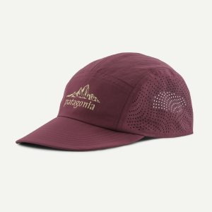 33557 cdfi