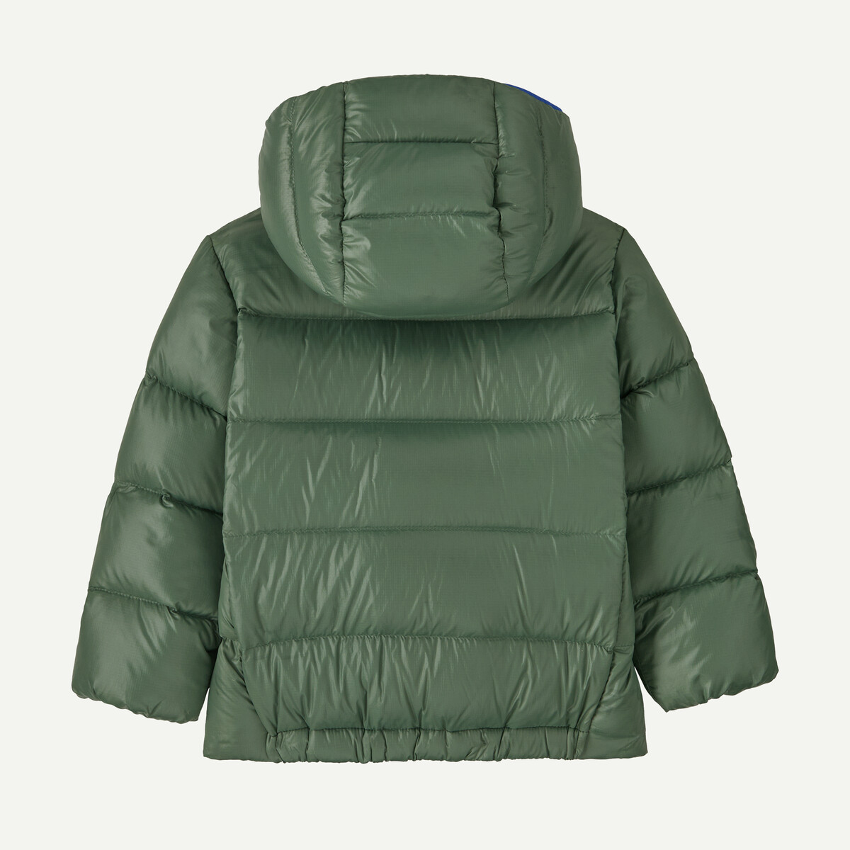 60494 cngr altback 60494 cngr altback